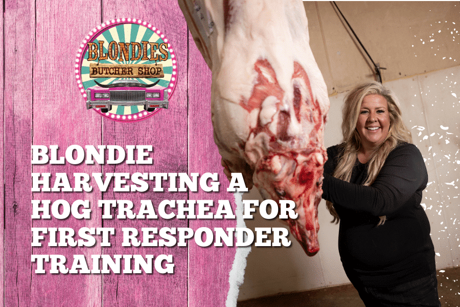 Blondie Harvesting a Hog Trachea for First Responder Training