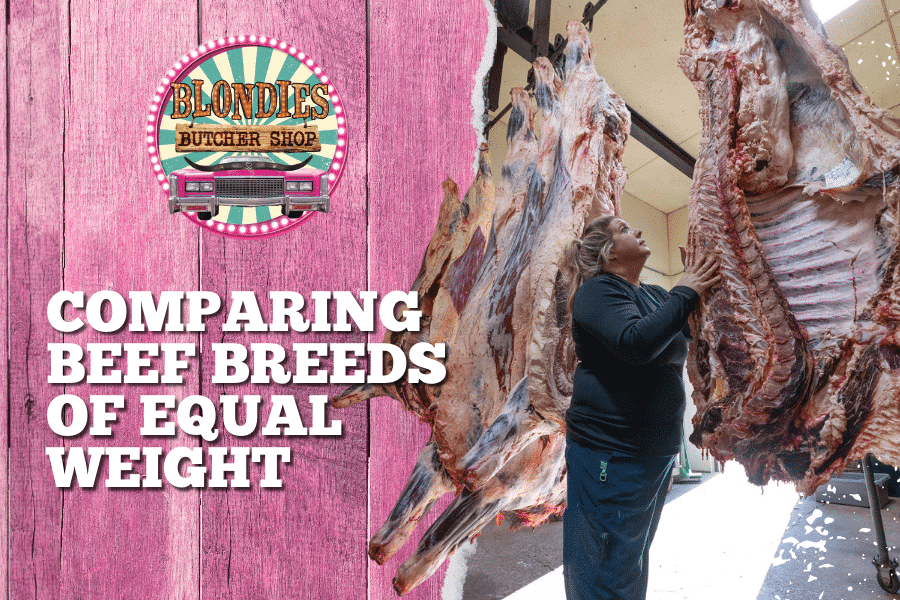 Side-by-Side Comparison of Beef Breeds at Blondies Butcher Shop